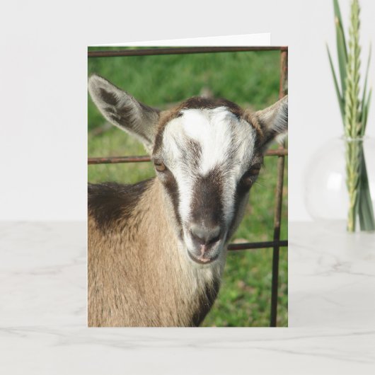 Billy Kind Kaart (Voorkant)