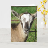 Billy Kind Kaart (Gele Bloem)