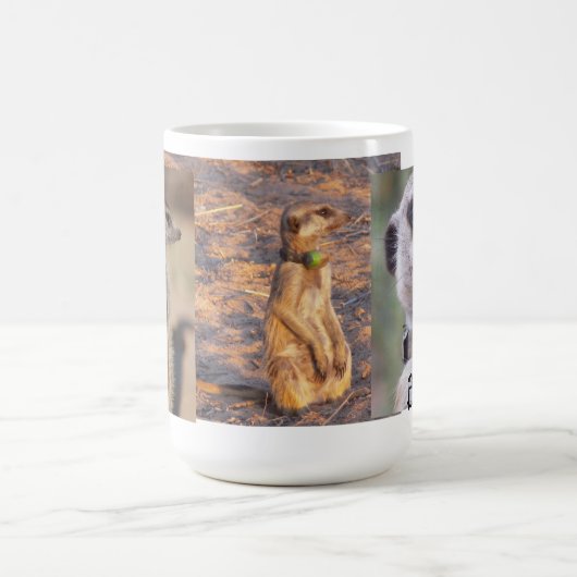 Billy Meerkat Mok (Center)