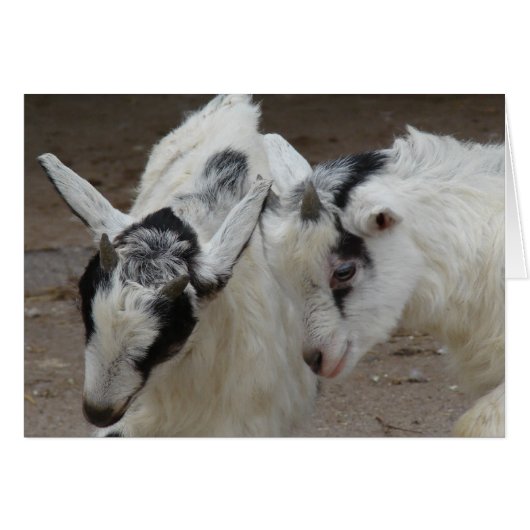 Billy Play (Voorkant Horizontaal)