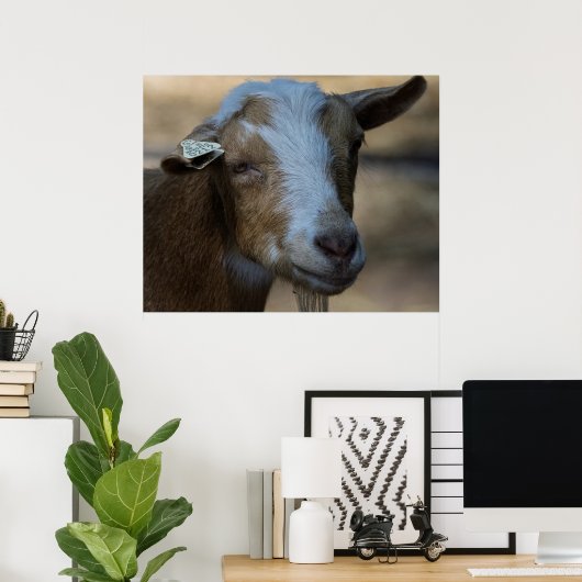 Billy Poster (Thuiskantoor)