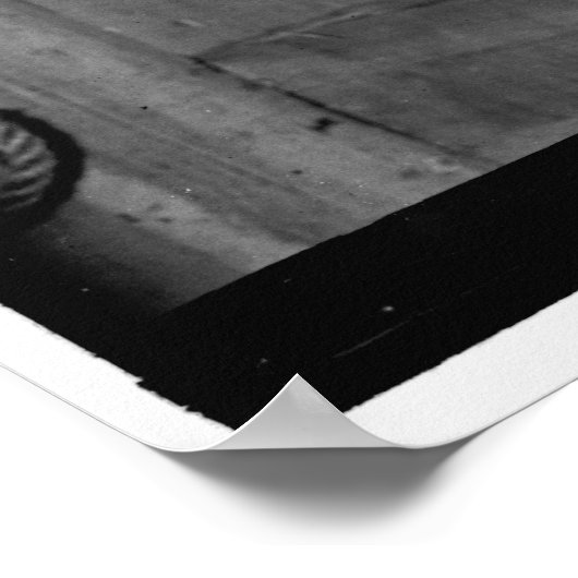  Billy the Horse Poster (Hoek)