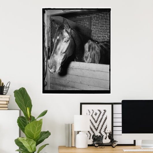  Billy the Horse Poster (Thuiskantoor)