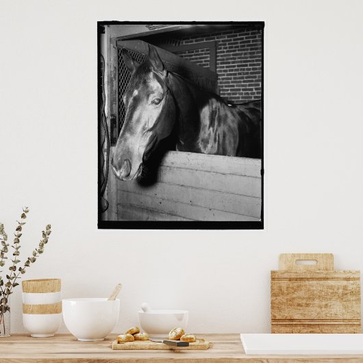  Billy the Horse Poster (Keuken)