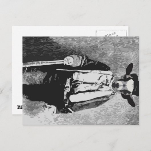 Billy the Kind - Briefkaart (Voorkant / Achterkant)