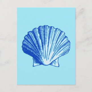 Bimini Blue Zee Shell Briefkaart
