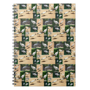 Bin Chicken Chronicles: een Ibis fotocollage Notitieboek