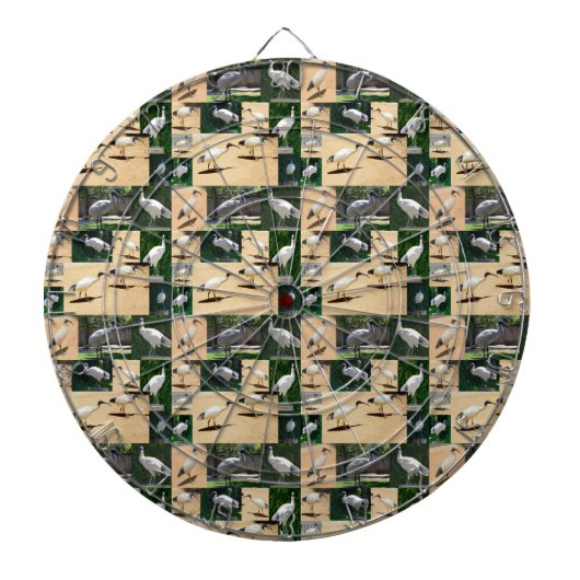 Bin Chicken Chronicles: Fotocollage van het Ibis Dartbord (Voorkant)