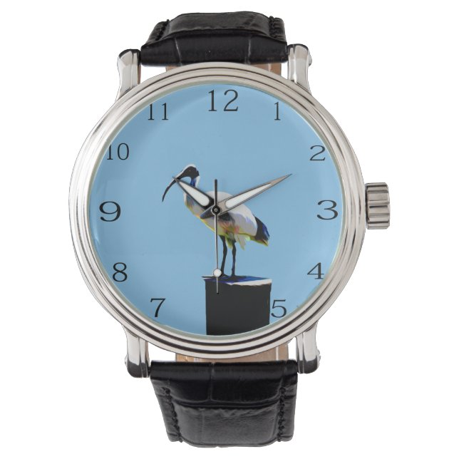 Bin Chicken, (ibis) olieverf, horloge (Voorkant)