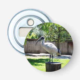Bin Chicken (ibis) on a Tree Stump, Button Flesopener