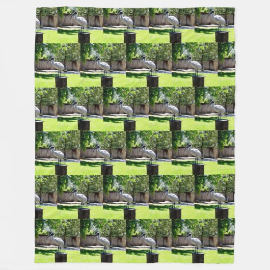 Bin Chicken (ibis) on a Tree Stump, Fleece Deken (Voorkant)