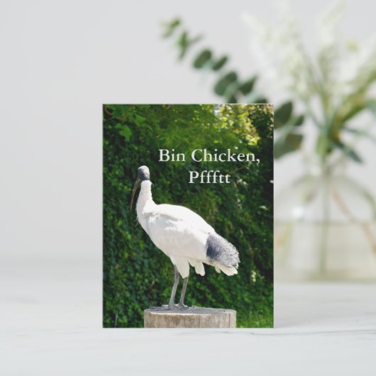 Bin Chicken Pfftt (Ibis) Briefkaart (Staand voorkant)