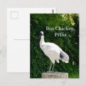 Bin Chicken Pfftt (Ibis) Briefkaart (Voorkant / Achterkant)