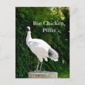 Bin Chicken Pfftt (Ibis) Briefkaart (Voorkant)