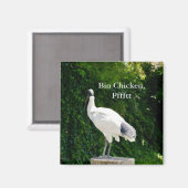 Bin Chicken Pfftt (Ibis) Magnet (Voorkant / Achterkant)