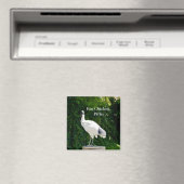 Bin Chicken Pfftt (Ibis) Magnet (Insitu (Vaatwasser))