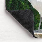 Bin Chicken Pfftt (Ibis) Mousepad Muismat (Hoek)