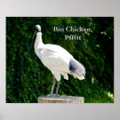 Bin Chicken Pfftt (Ibis) Poster (Voorkant)
