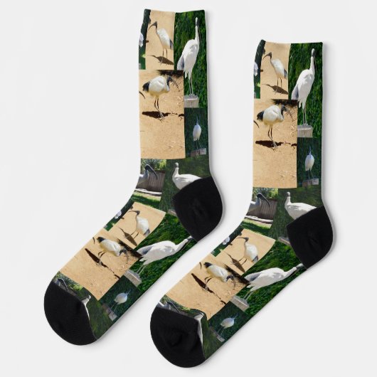 Bin Chicken Photo Collage, Crew-Sokken Sokken (Links)