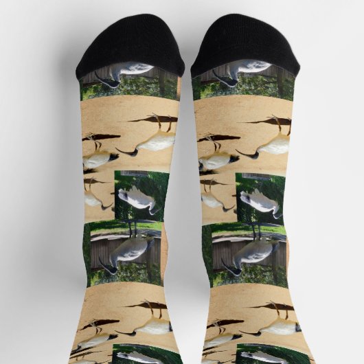 Bin Chicken Photo Collage, Crew-Sokken Sokken (Top)