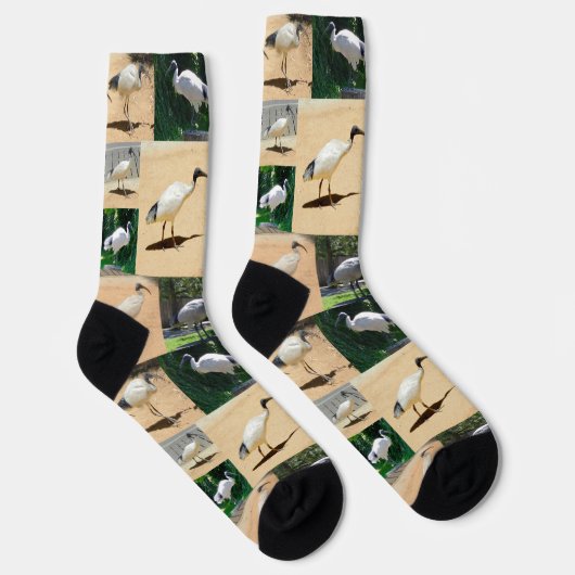 Bin Chicken Photo Collage, Crew-Sokken Sokken (Rechts)