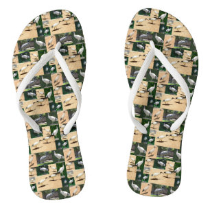 Bin Chicken Photo Collage, Teenslippers