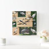 Bin Chicken Photo Collage, Wall Clock Vierkante Klok (Huis)