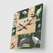 Bin Chicken Photo Collage, Wall Clock Vierkante Klok (Hoek)
