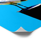 Bin Chickens (Ibis) Poster (Hoek)