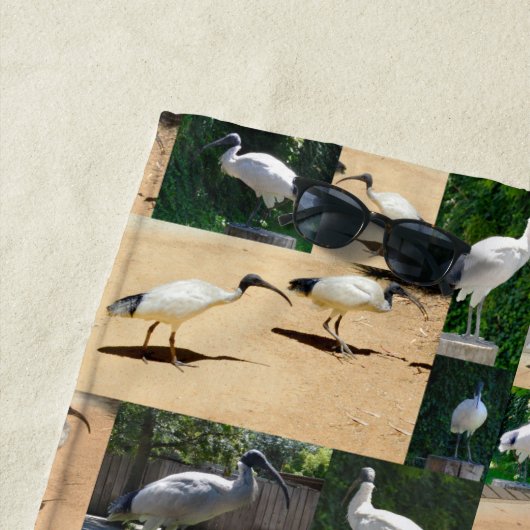 Bin Kip Chronicles: Een Ibis Foto Collage Strandlaken (In situ)