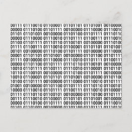 Binair: Ik hou van programma