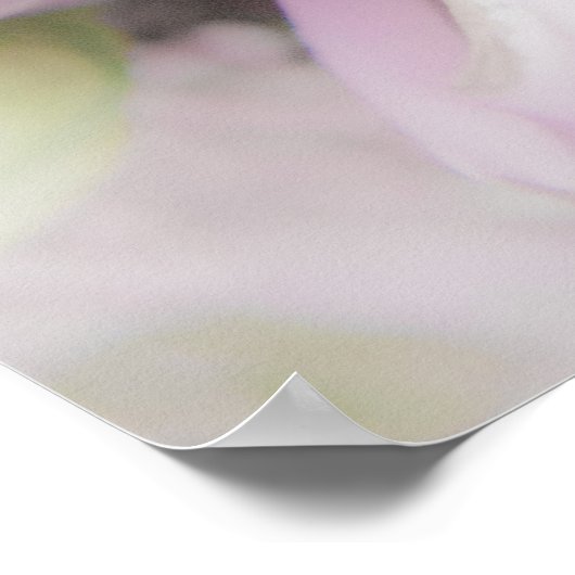 Bindende rozen poster (Hoek)