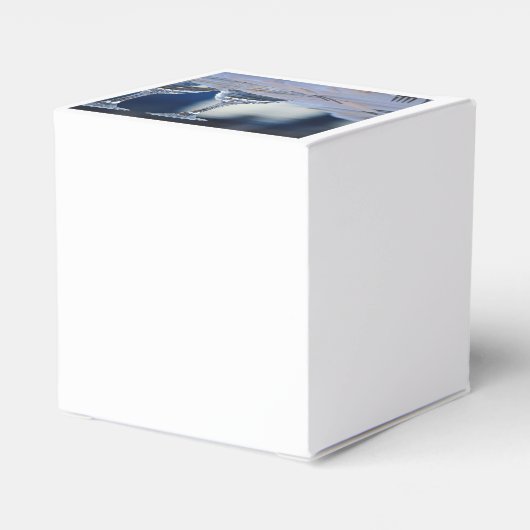 Bindglazen Bedankdoosjes (Achterkant)