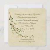 Bindkaarslicht en -ringen kaart (Achterkant)