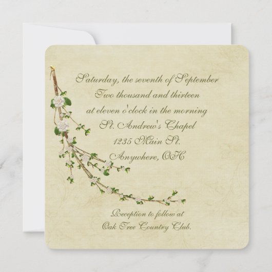 Bindkaarslicht en -ringen kaart (Achterkant)