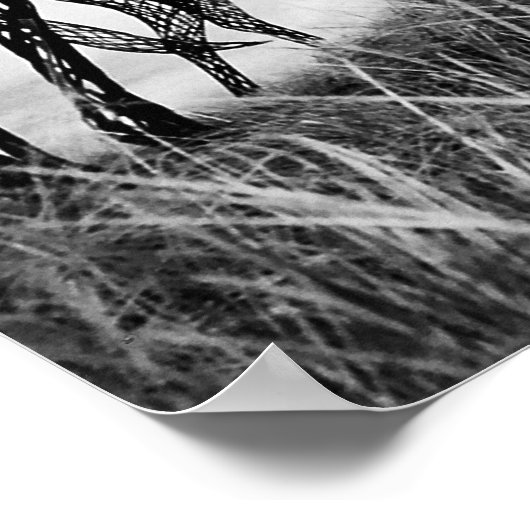 Bindpaarden op Canvas met LLR Poster (Hoek)