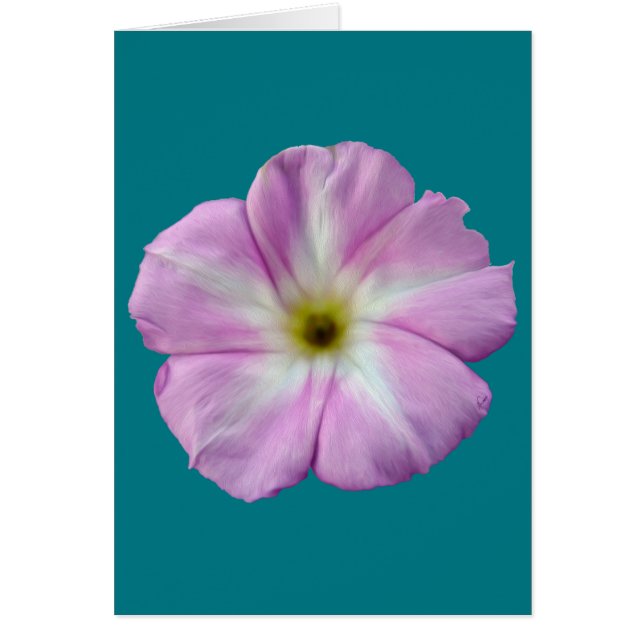 Bindweed #1 (Voorkant)