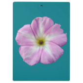 Bindweed #1 klembord (Achterkant)