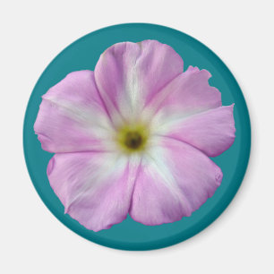 Bindweed #1 magneet