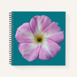 Bindweed #1 notitieboek