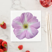 Bindweed #1 servet (Insitu)