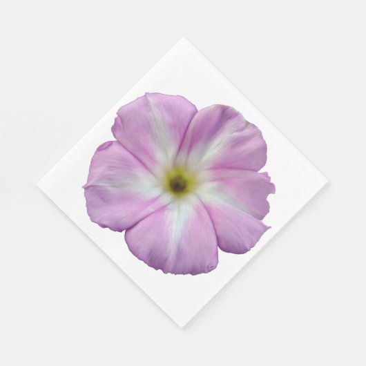 Bindweed #1 servet (Hoek)