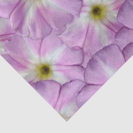 Bindweed Seamless Pattern Tissuepapier (Detail)