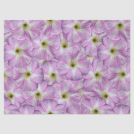 Bindweed Seamless Pattern Tissuepapier