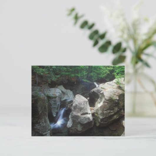 Bingham Herfsten gorge Vermont Briefkaart (Staand voorkant)