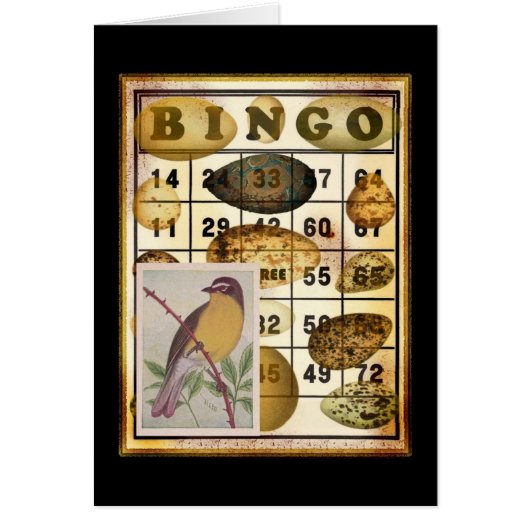 Bingo Bird (Voorkant)