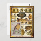 Bingo Bird Briefkaart (Voorkant / Achterkant)