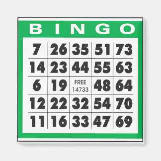 Bingo Card Magneet