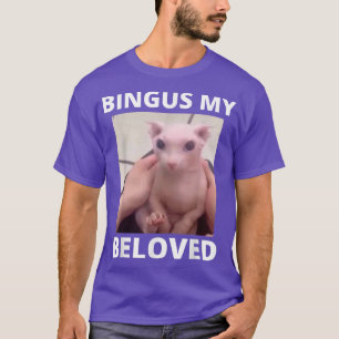 Bingus noemt mijn vermoeide, haarloze sphin Sphyn T-shirt