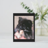 BINKIE BRIEFKAART (Staand voorkant)